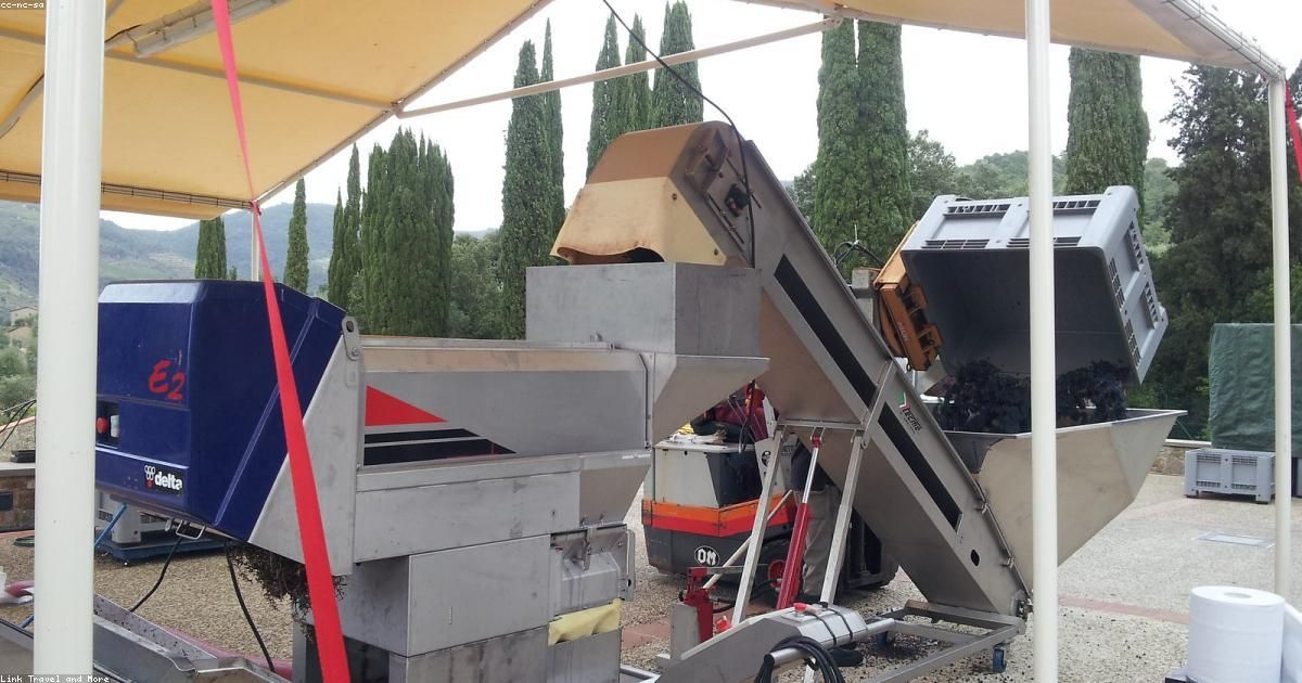 I Migliori Agriturismi in Toscana: Guida Completa per una Vacanza Autentica