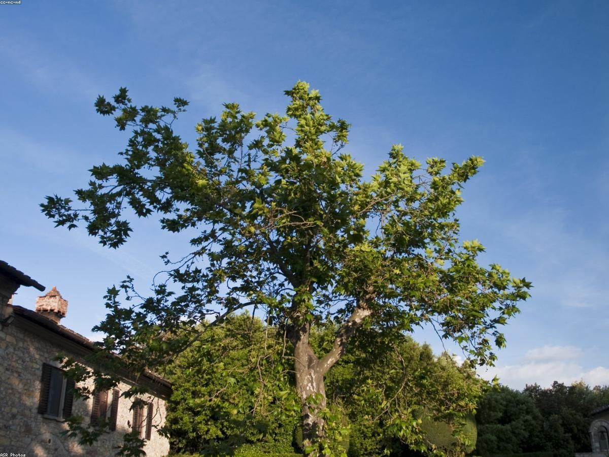 Esplorazione e scoperta in Toscana